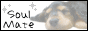soulmate
